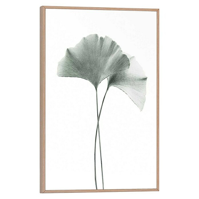 Reinders Bild Slim Frame Wood (Gingko, B x H: 20 x 30 cm) | BAUHAUS