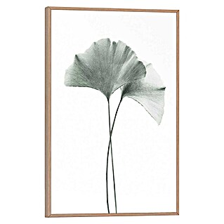 Reinders Bild Slim Frame Wood (Gingko, B x H: 20 x 30 cm)