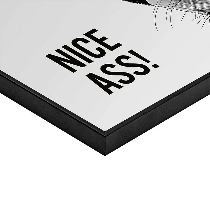 Reinders Bild Slim Frame Black - Donkey, B x H: 40 x 50 cm - Schwarz gerahmter Druck mit „NICE ASS!“-Text und Augenillustration.