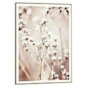 Reinders Bild Slim Frame Wood (Dried Whites, B x H: 50 x 70 cm) | BAUHAUS