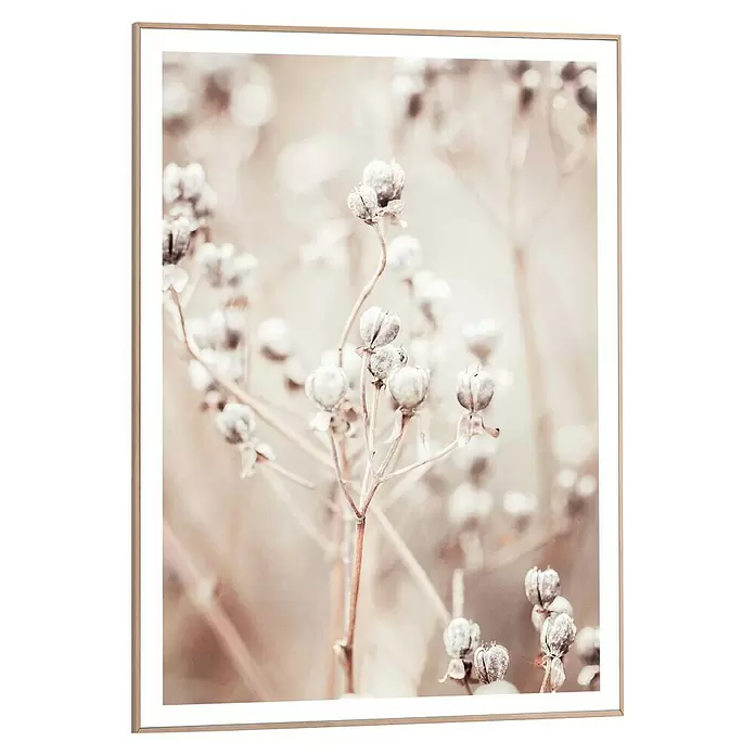 Reinders Bild Slim Frame Wood - Dried Whites, B x H: 50 x 70 cm - Gerahmtes Bild mit hellem Holzrahmen, zeigt getrocknete Samenkapseln auf zarten Stielen.