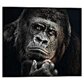 Reinders Decopanel (Gorilla Thinking, B x H: 50 x 40 cm) | BAUHAUS