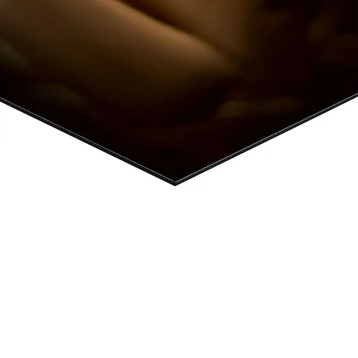 Reinders Decopanel - Golden Lady, B x H: 30 x 90 cm - Nahaufnahme einer glänzenden, schwarzen Herdplatte, die einen modernen und eleganten Touch in jede Küche bringt.