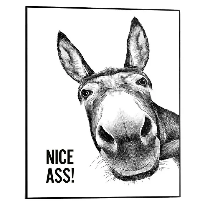 Reinders Bild Slim Frame Black - Donkey, B x H: 40 x 50 cm - Witziges Wandbild mit einem Esel-Motiv und dem frechen Spruch "Nice Ass!". Ein humorvolles Deko-Element, das garantiert für Lacher sorgt und Aufmerksamkeit erregt.