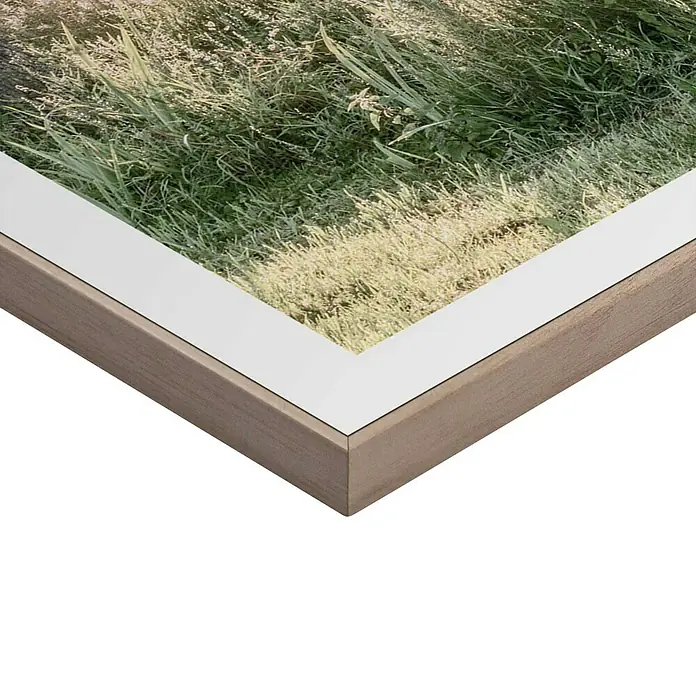 Reinders Bild Slim Frame Wood - Rise and Shine, B x H: 50 x 50 cm - Nahaufnahme eines gerahmten Kunstdrucks mit einem hellen Holzrahmen und weißem Passepartout, der eine naturnahe Szene zeigt.