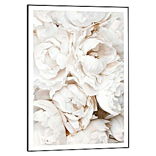 Reinders Bild Slim Frame Black (White Roses, B x H: 50 x 70 cm)