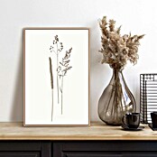 Reinders Bild Slim Frame Wood (Dried Flowers, B x H: 20 x 30 cm) | BAUHAUS