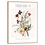 Reinders Bild Slim Frame Wood (Herbarium, B x H: 30 x 40 cm) | BAUHAUS