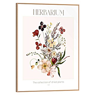 Reinders Bild Slim Frame Wood (Herbarium, B x H: 30 x 40 cm)