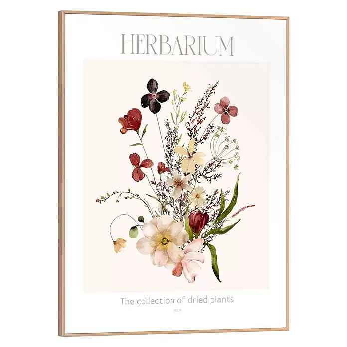 Reinders Bild Slim Frame Wood - Herbarium, B x H: 30 x 40 cm - Hellholz gerahmter Kunstdruck mit Aquarell-Botanischer Illustration von Trockenpflanzen, Titel 'HERBARIUM'.