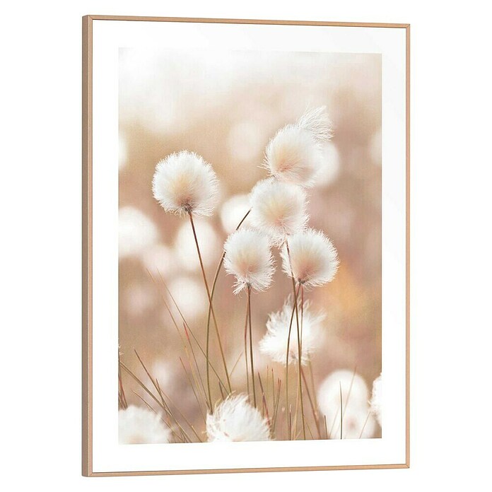 Reinders Bild Slim Frame Wood (Cotton Pops, B x H: 30 x 40 cm) | BAUHAUS