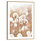 Reinders Bild Slim Frame Wood (Cotton Pops, B x H: 30 x 40 cm) | BAUHAUS