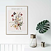 Reinders Bild Slim Frame Wood (Herbarium, B x H: 30 x 40 cm) | BAUHAUS