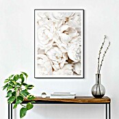 Reinders Bild Slim Frame Black (White Roses, B x H: 50 x 70 cm) | BAUHAUS