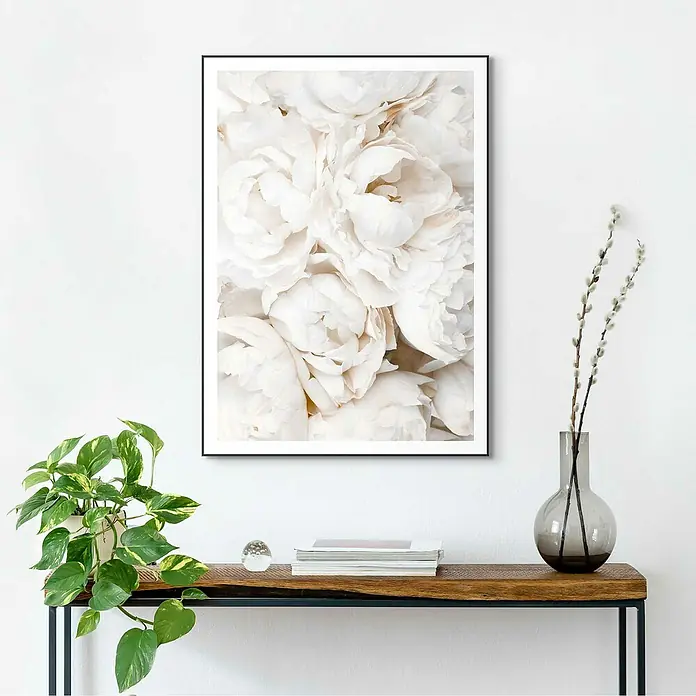 Reinders Bild Slim Frame Black - White Roses, B x H: 50 x 70 cm - Ein elegantes Wandbild mit weißen Pfingstrosen in einem schwarzen Rahmen, das jedem Raum einen Hauch von Eleganz verleiht.