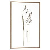 Reinders Bild Slim Frame Wood (Dried Flowers, B x H: 20 x 30 cm) | BAUHAUS