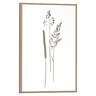 Reinders Bild Slim Frame Wood (Dried Flowers, B x H: 20 x 30 cm)