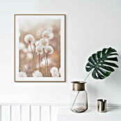 Reinders Bild Slim Frame Wood (Cotton Pops, B x H: 30 x 40 cm) | BAUHAUS