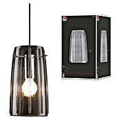 Paulmann URail 2Easy Pantalla de lámpara Drio (Diámetro: 15,2 cm, Transparente, Vidrio, Redondeada)