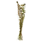 Ramo de flores secas (Largo: 76 cm, Multicolor/Blanco) | BAUHAUS
