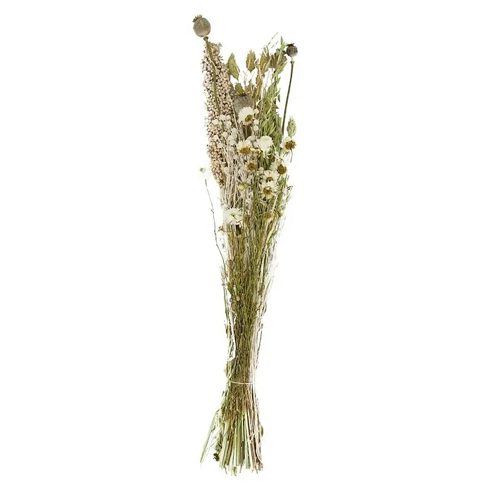 Ramo de flores secas - Largo: 76 cm, Multicolor/Blanco - Ramo de flores secas, con una mezcla de elementos blancos y marrones, atado con una cuerda.
