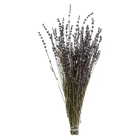 Ramo de flores secas