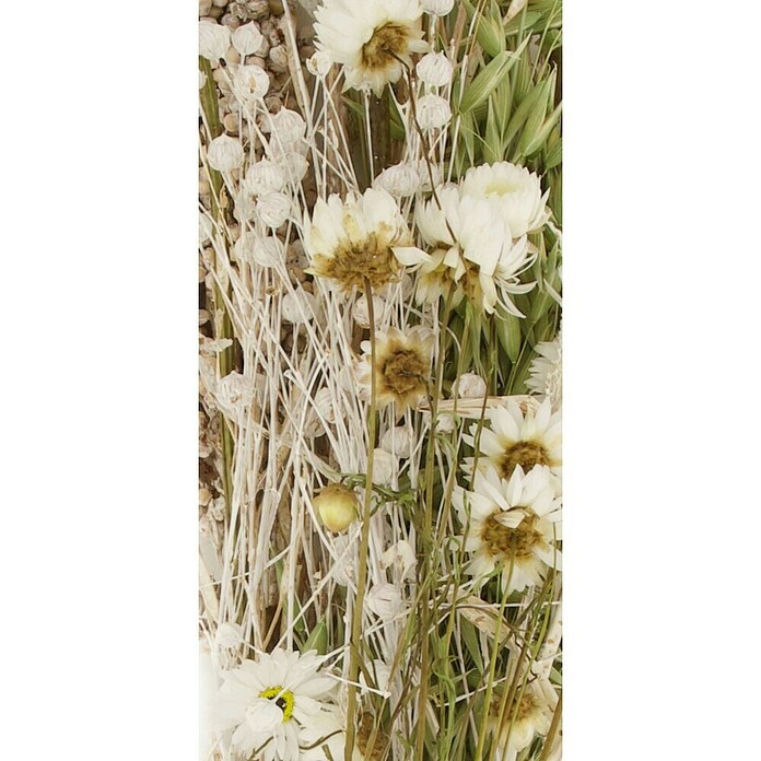Ramo de flores secas (Largo: 76 cm, Multicolor/Blanco) | BAUHAUS