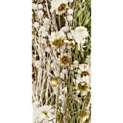 Ramo de flores secas (Largo: 76 cm, Multicolor/Blanco) | BAUHAUS