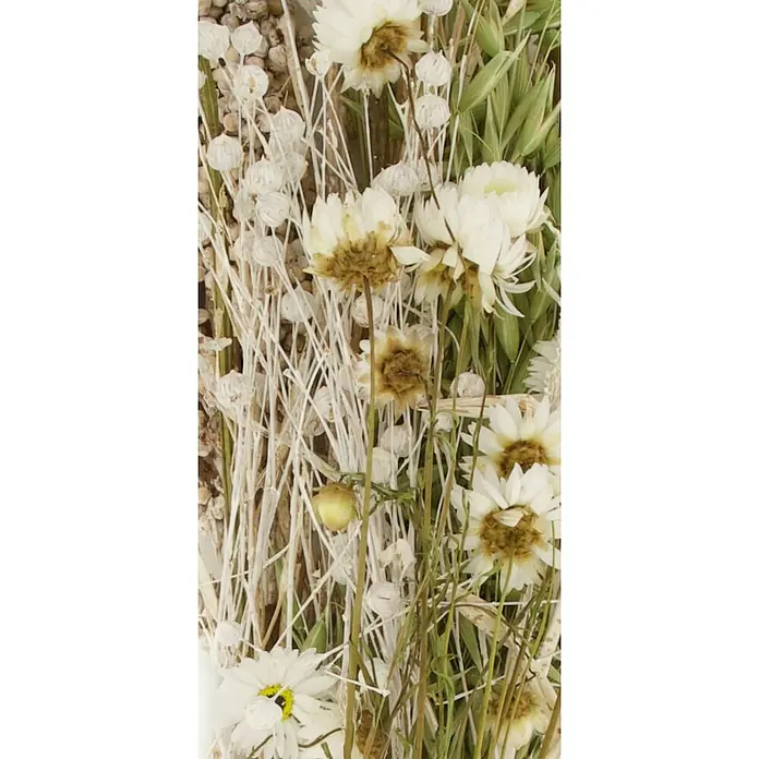 Ramo de flores secas - Largo: 76 cm, Multicolor/Blanco - Primer plano de flores blancas secas con detalles marrones y delicados tallos blancos, que muestran una textura rústica.