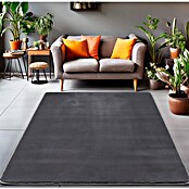 Kurzflorteppich Luxy (Grau, 290 x 200 cm, 100 % Polyester) | BAUHAUS