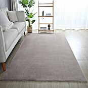 Kurzflorteppich Sky (Beige, 340 x 240 cm, 100 % Polyester) | BAUHAUS