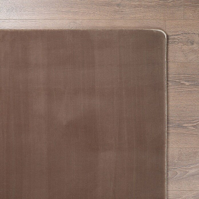 Kurzflorteppich Luxy (Beige, 200 x 140 cm, 100 % Polyester) | BAUHAUS