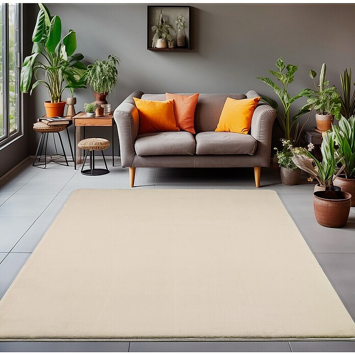 Kurzflorteppich Luxy (Creme, 230 x 160 cm, 100 % Polyester) | BAUHAUS