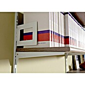 Element System Bücherbügel (11,8 x 14,3 cm, Geeignet für: Schiene Classic Raster 50, Weiß/Aluminium)