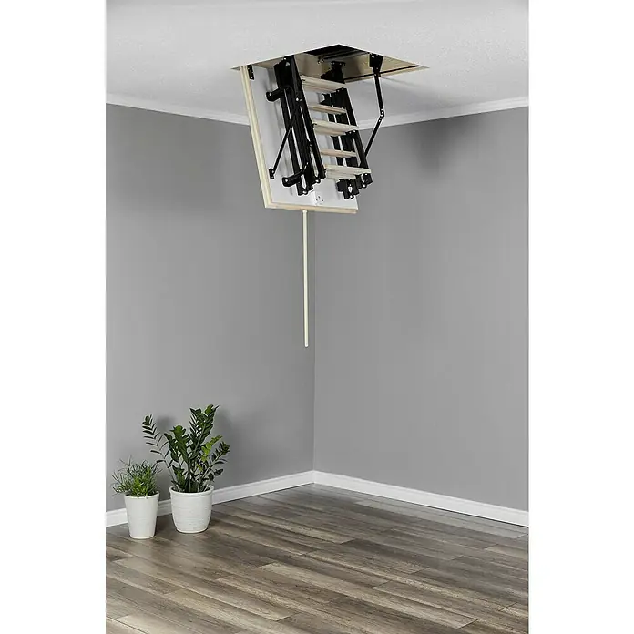 Star Stairs Bodentreppe Raumsparsam Plus - 80 x 60 cm, Wärmedämmung: 0,85 W/(m²K) - Eine ausklappbare Dachbodentreppe hängt von der Decke, mit Pflanzen im Hintergrund. Praktisch für den Zugang zum Dachboden.
