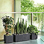 Deroma Millennium Pflanzkübel (Außenmaß (L x B x H): 79 x 39 x 39 cm, Kunststoff, Ashgrey) | BAUHAUS