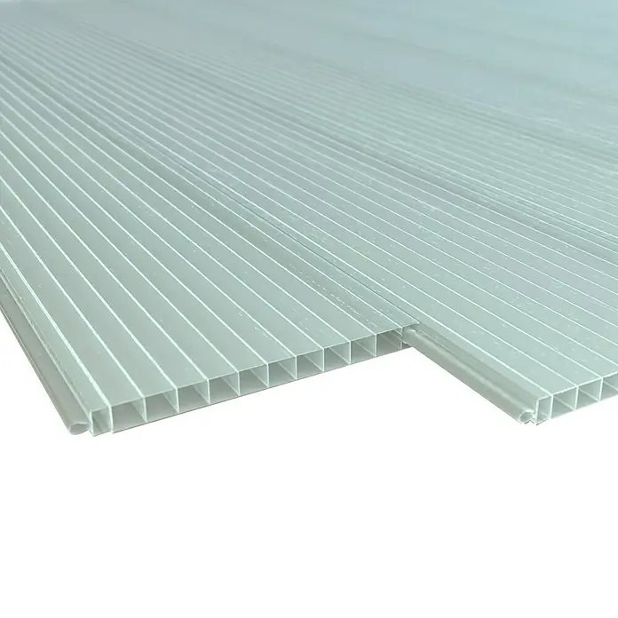Hohlkammerpaneel - 250 cm x 20 cm x 16 mm, Polycarbonat, Opal - Aufnahme einer Platte aus Polycarbonat-Hohlkammerplatten, die für ihre leichte Bauweise und Isolierungseigenschaften bekannt ist.