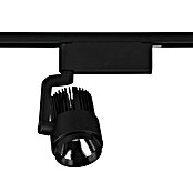 Trio Lighting Led-spot (40 W, Zwart, 4,2 x 10 x 12 cm) | BAUHAUS