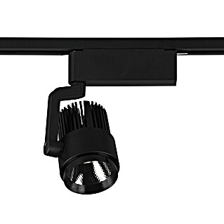 Trio Lighting DUOline Led-spot (40 W, Zwart, 4,2 x 10 x 12 cm)