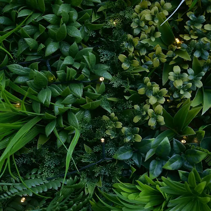Jardín vertical Jungle con luces LED - Plástico, L x An: 100 x 100 cm - Primer plano de una pared vegetal verde con luces integradas, creando un ambiente natural y atmosférico.