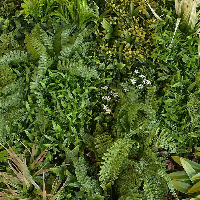 Jardín vertical Jungle con luces LED - Plástico, L x An: 100 x 100 cm - Primer plano de una exuberante pared verde con helechos y varias especies de plantas.