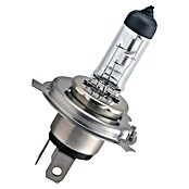 Philips Halogeenkoplamp (Levensduur: 3.000 u, 12 V) | BAUHAUS