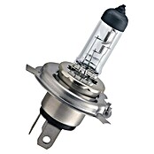 Philips Halogeenkoplamp (Levensduur: 3.000 u, 12 V) | BAUHAUS