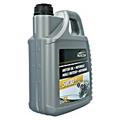 Protecton Motorolie voor benzine-/dieselmotoren 5W30 C3 (5 l) | BAUHAUS