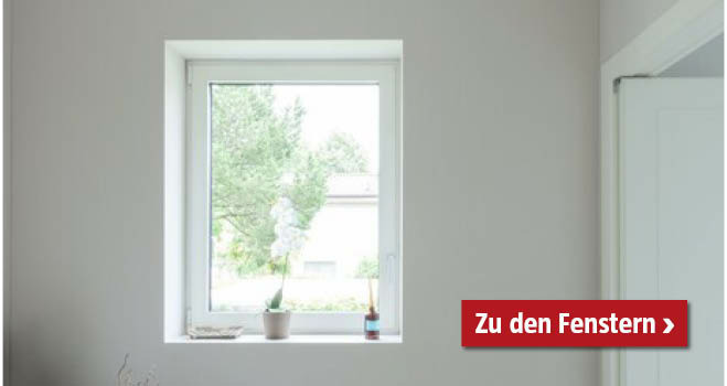 Fenster