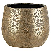 Posuda za biljke  (Keramika, 16,5 cm x 13 mm) | BAUHAUS