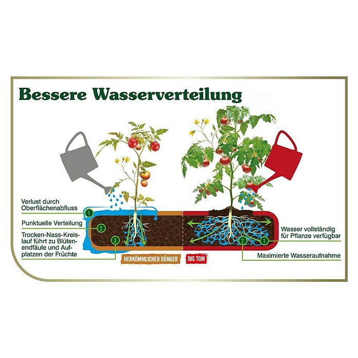 Westland Tomatendünger Big Tom (1 l) | BAUHAUS