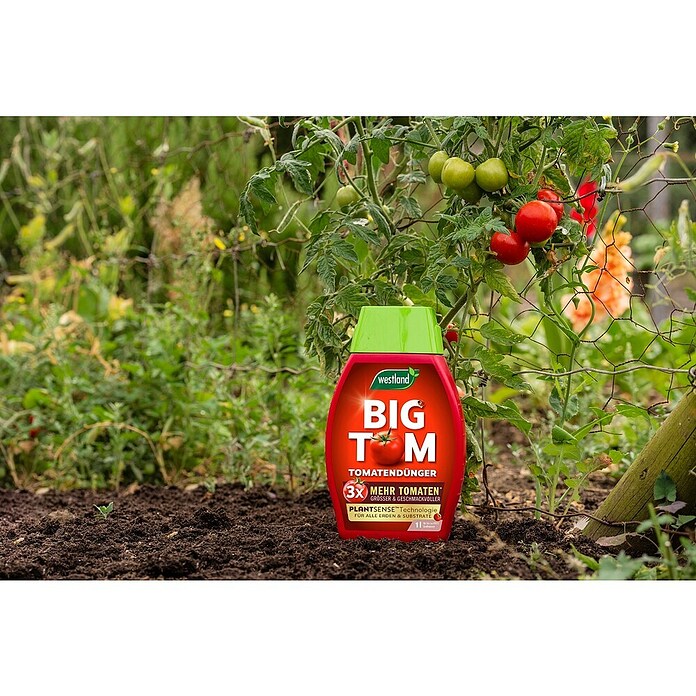 Westland Tomatendünger Big Tom (1 l) | BAUHAUS