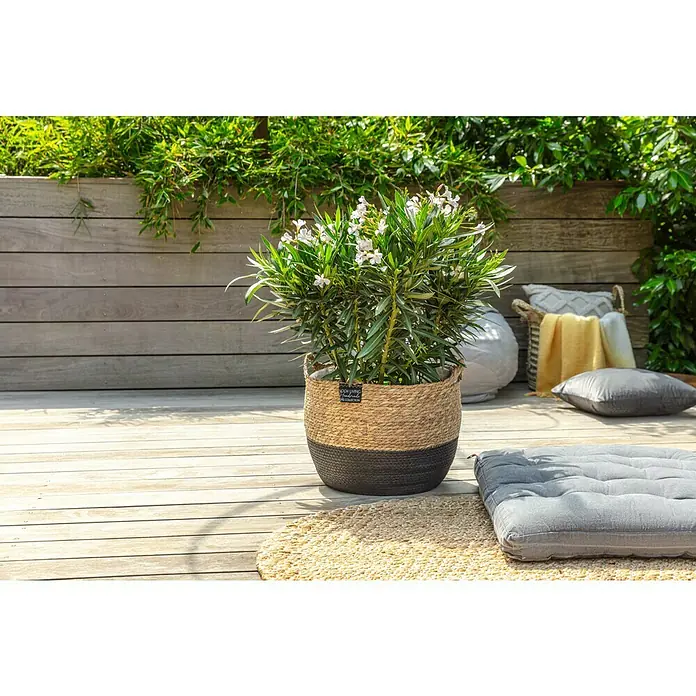 Juteteppich Nature 501 - Naturbraun, Durchmesser: 100 cm, 100 % Jute - Eine Nahaufnahme eines blühenden Oleanders in einem zweifarbigen Pflanzgefäß aus Seegras, das auf einer hölzernen Terrasse steht.