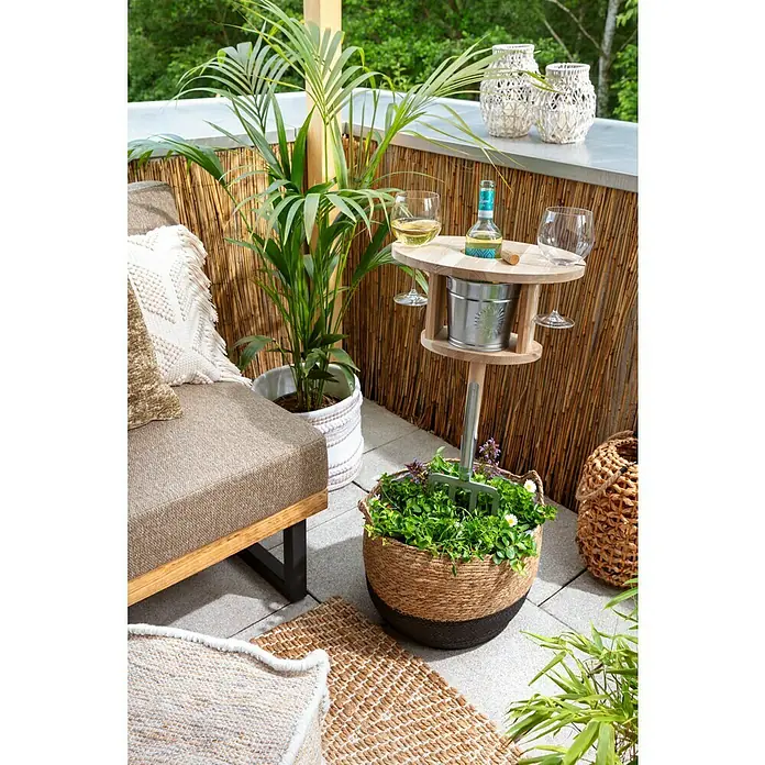 Piardino GoldfruchtpalmeDypsis lutescens, Topfgröße: 17 cm, Grün Mood Shot
